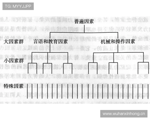 杜埃战术价值:体系依赖与个人能力的结构性解析 杜埃战术价值:体系依赖与个人能力的结构性解析