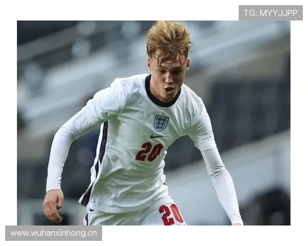 帕尔默与迪马利亚左脚技术细节及实战运用对比分析