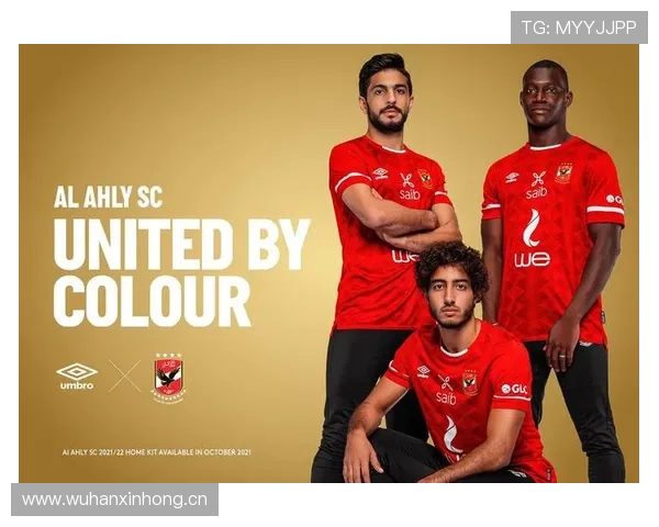 阿赫利重建前景评估：成功与否将影响赛季走势